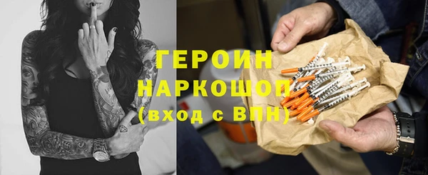 прущие грибы Новодвинск