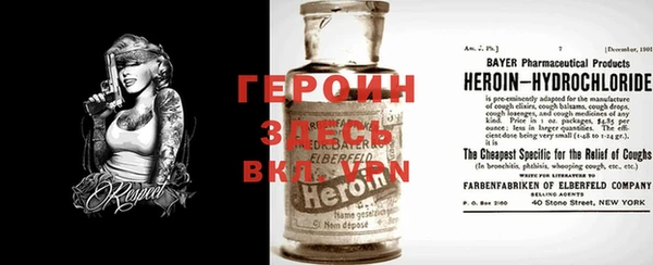 прущие грибы Новодвинск