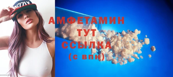 прущие грибы Новодвинск
