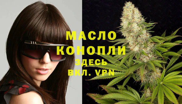 МДПВ Болотное