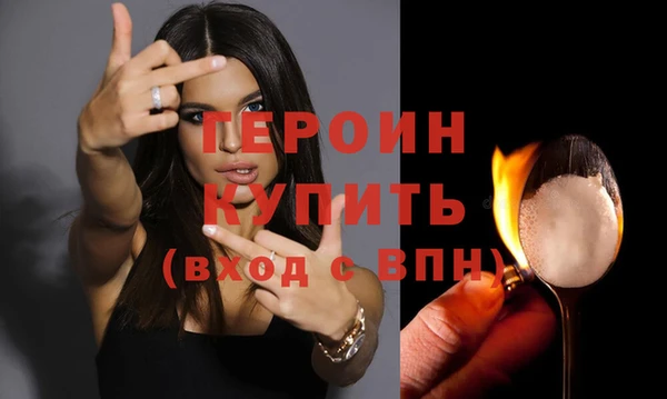 прущие грибы Новодвинск