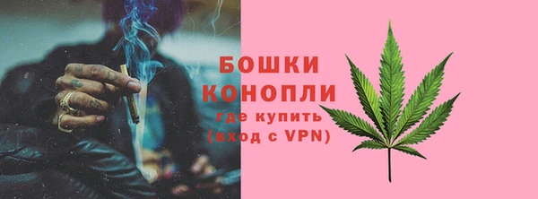 прущие грибы Новодвинск