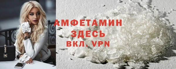 прущие грибы Новодвинск