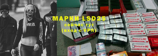 прущие грибы Новодвинск