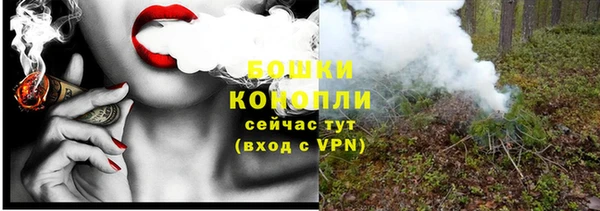 прущие грибы Новодвинск