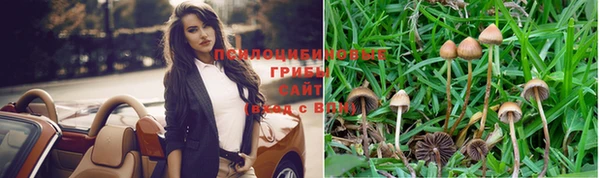 spice Новокубанск