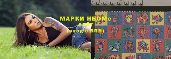 прущие грибы Новодвинск