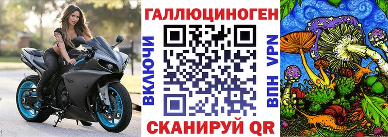 Купить  Губаха  Галлюциногенные грибы мухоморы 